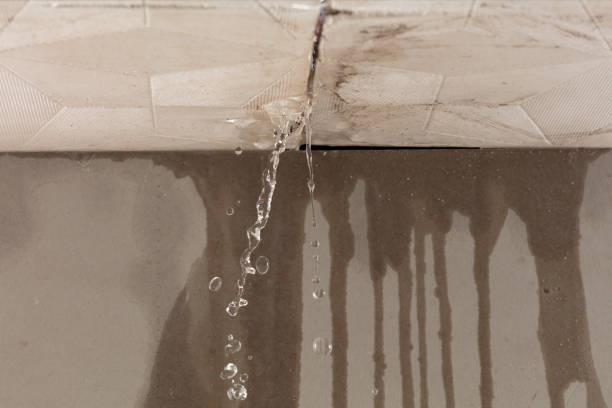 Professional Water Damage Repair technician working in Bartlett, NH